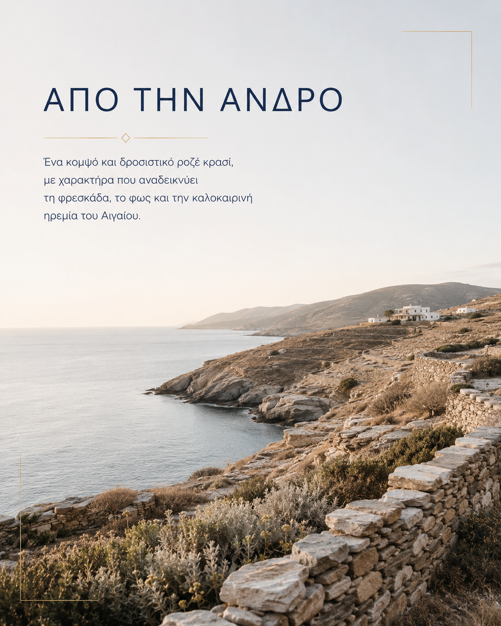 Lucky Fox Ροδίτης 2024