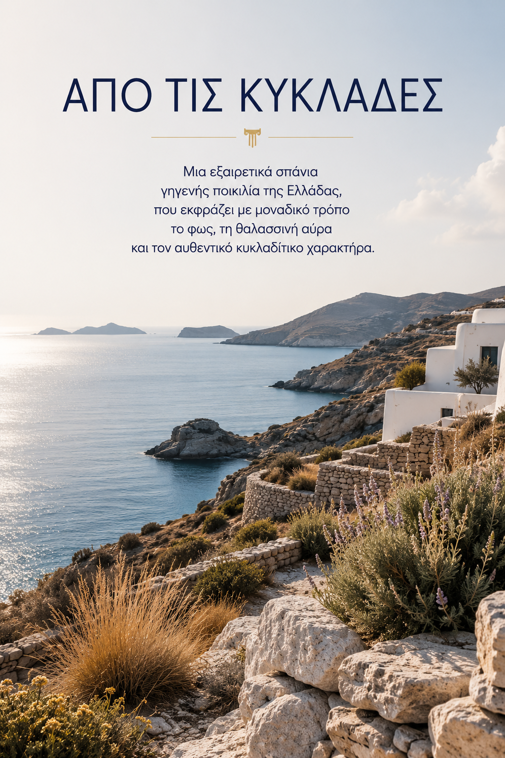 Αηδάνι Μαύρο 2024