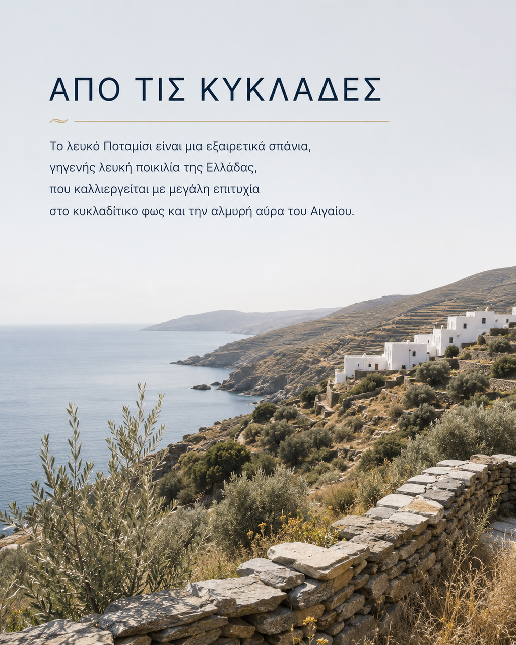 Cavo D'Oro Ποταμίσι 2024